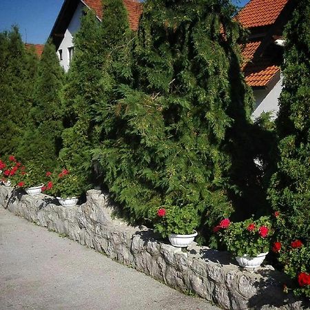 Bozovic Mv Apartments Zlatibor Bagian luar foto
