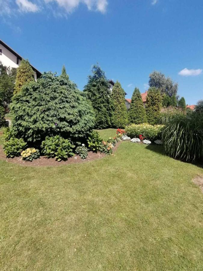Bozovic Mv Apartments Zlatibor Bagian luar foto