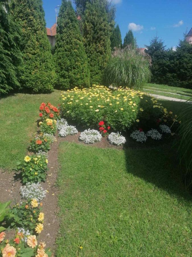 Bozovic Mv Apartments Zlatibor Bagian luar foto