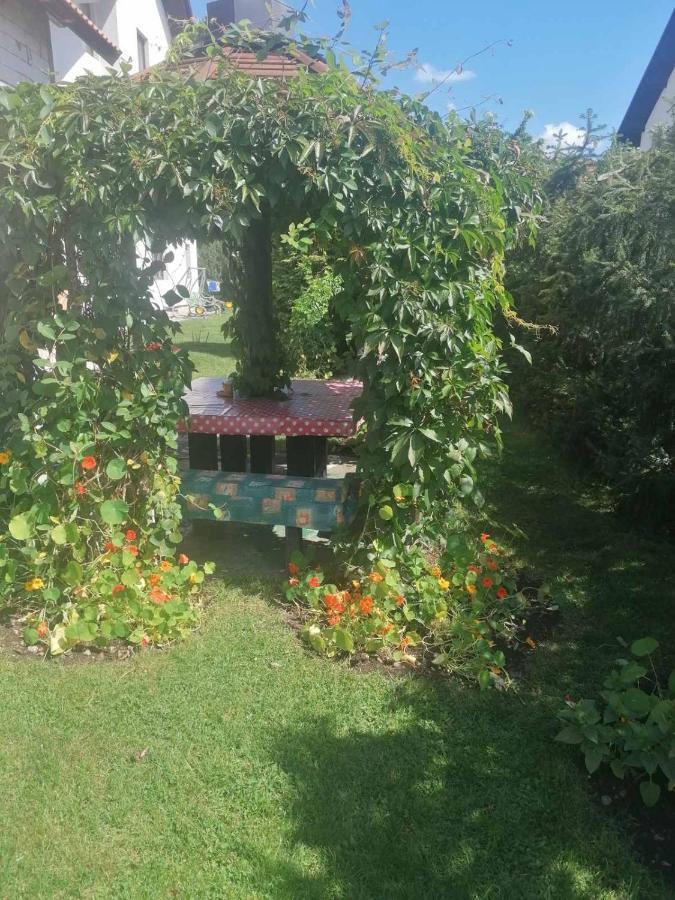 Bozovic Mv Apartments Zlatibor Bagian luar foto